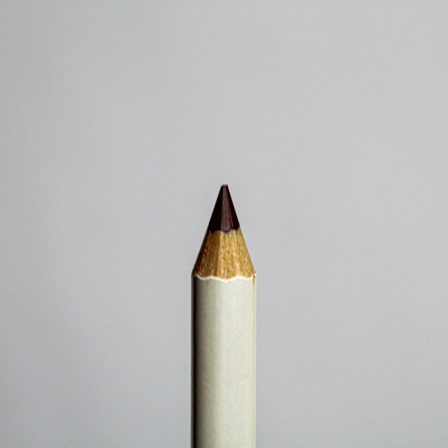 Double Mocha Lip Liner